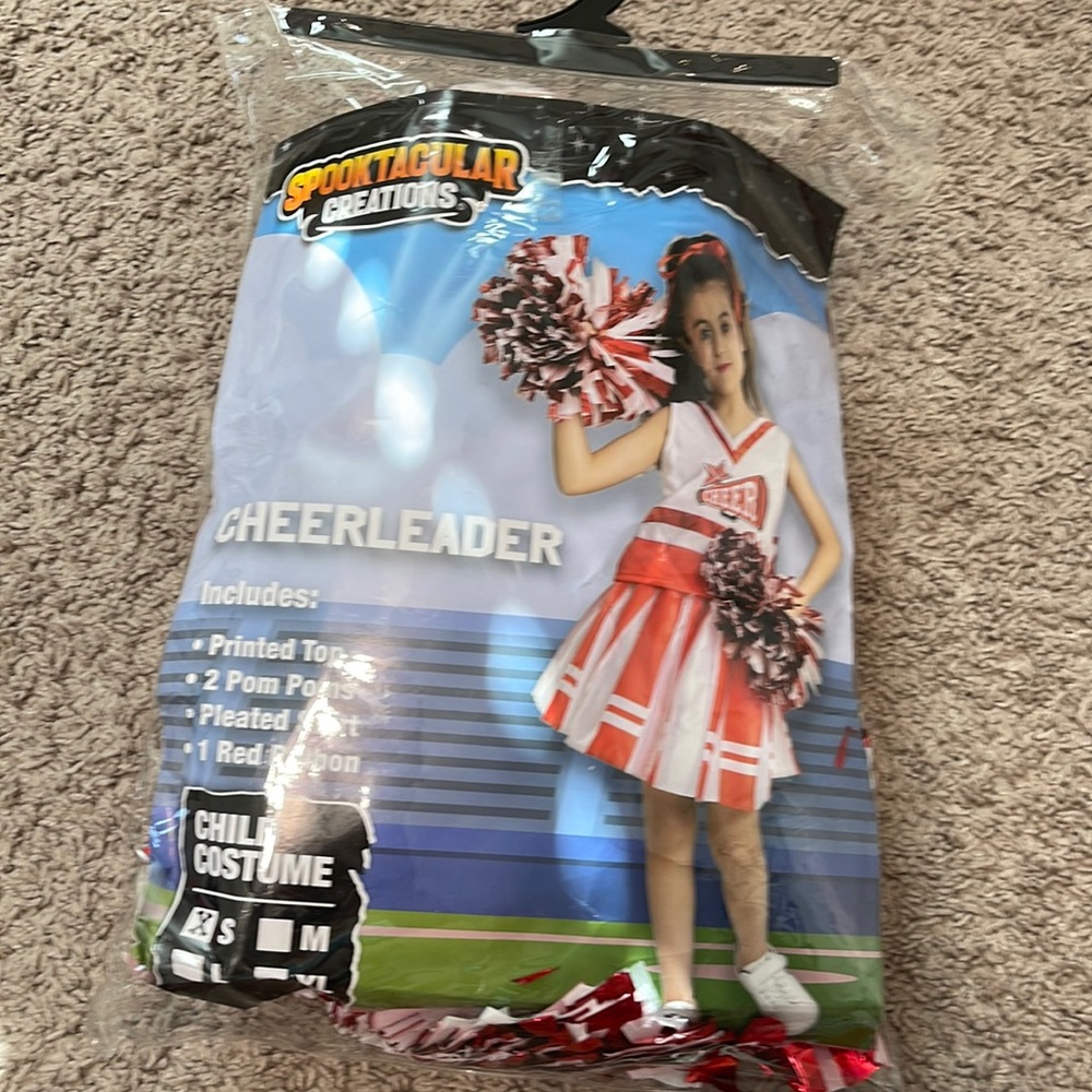 Cheerleader Halloween Costume, only worn once